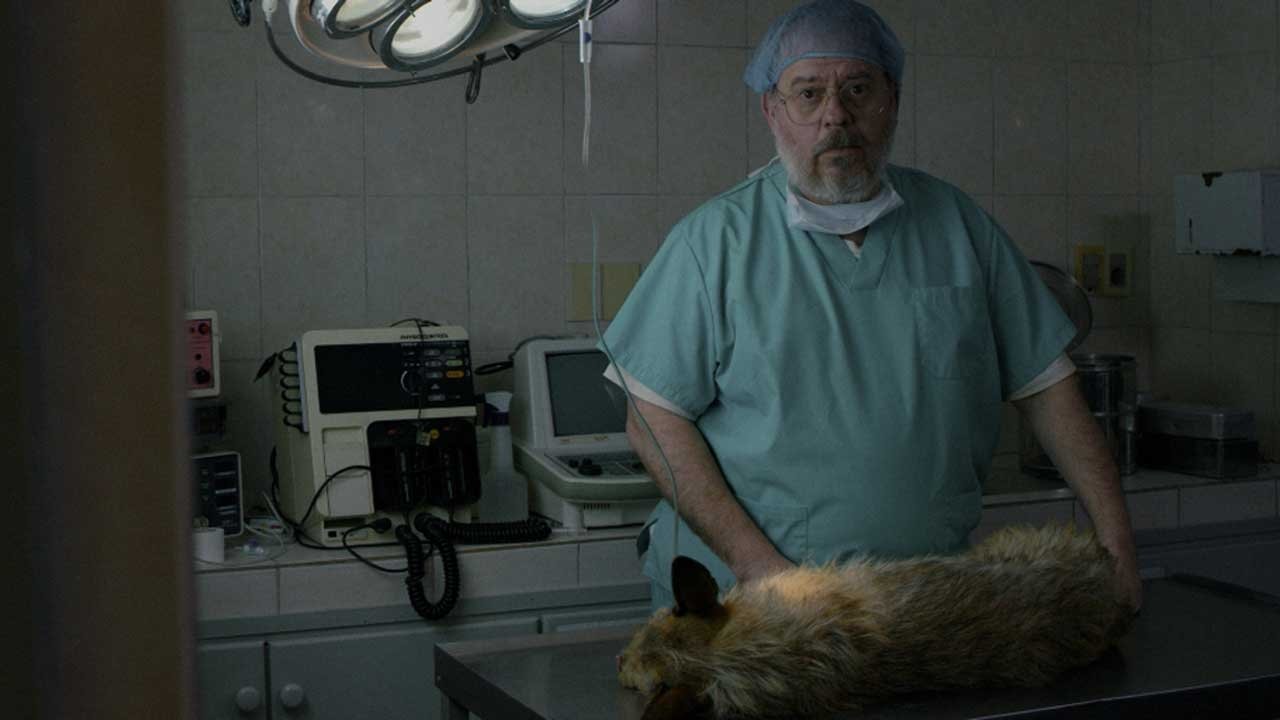 A Dog's Death backdrop