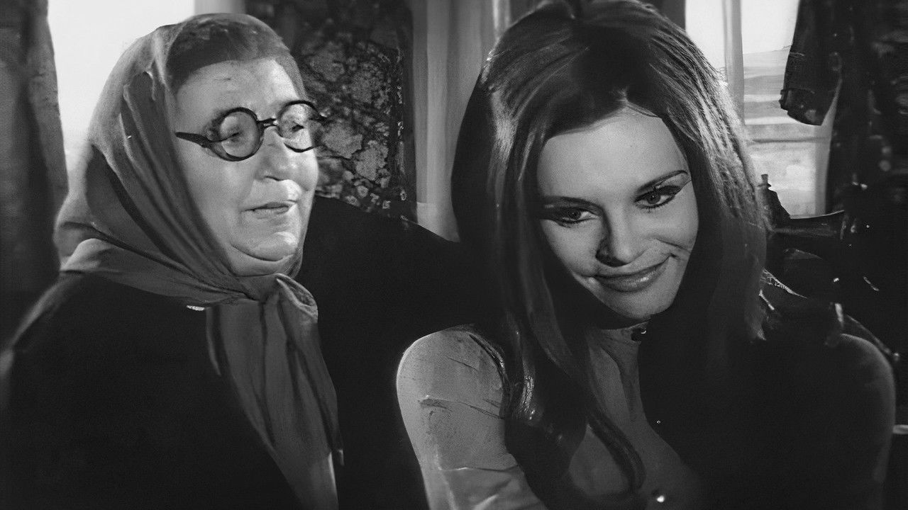 Cemile: Yaralı Ceylan backdrop