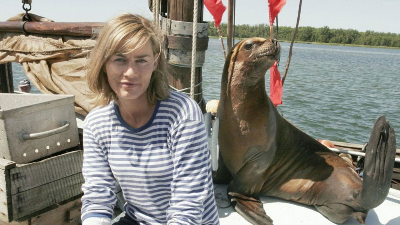 Eine Robbe und das große Glück backdrop