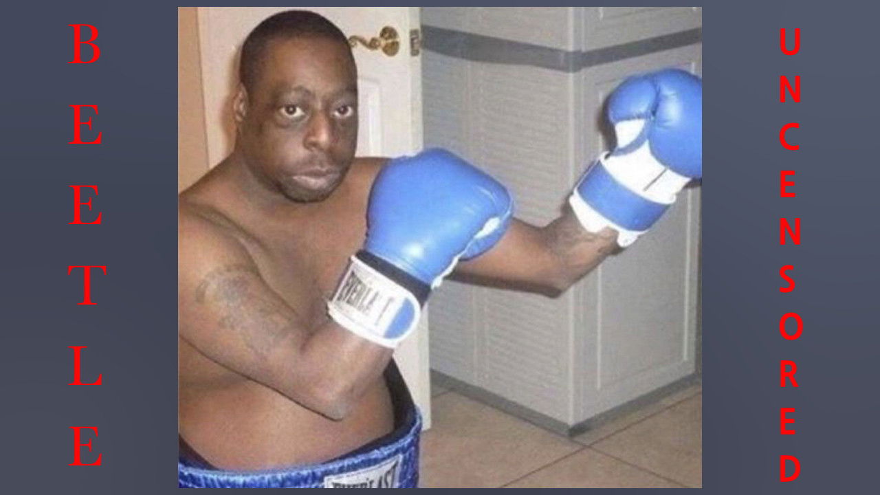 Beetle Uncensored backdrop