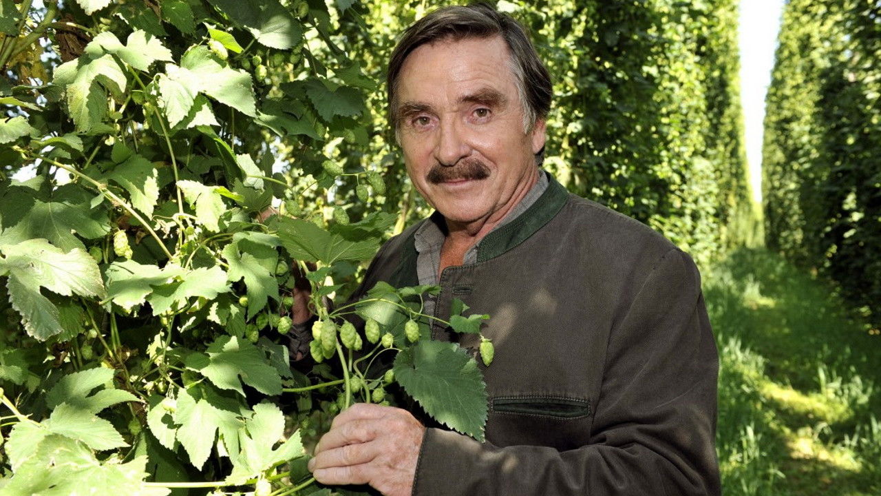 Hopfensommer backdrop