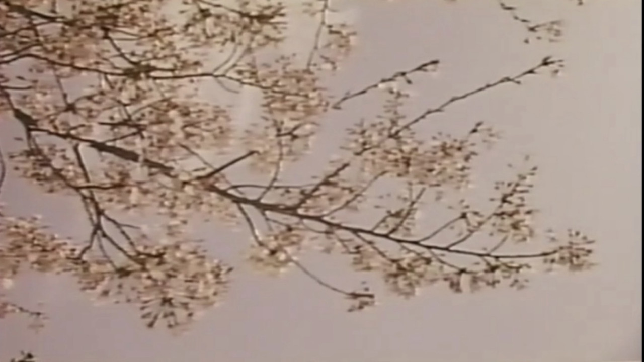 Wakaoku-sama: Futomono-biraki backdrop