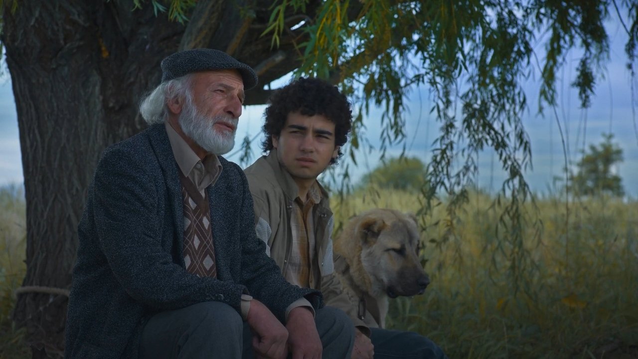 Island Ararat backdrop