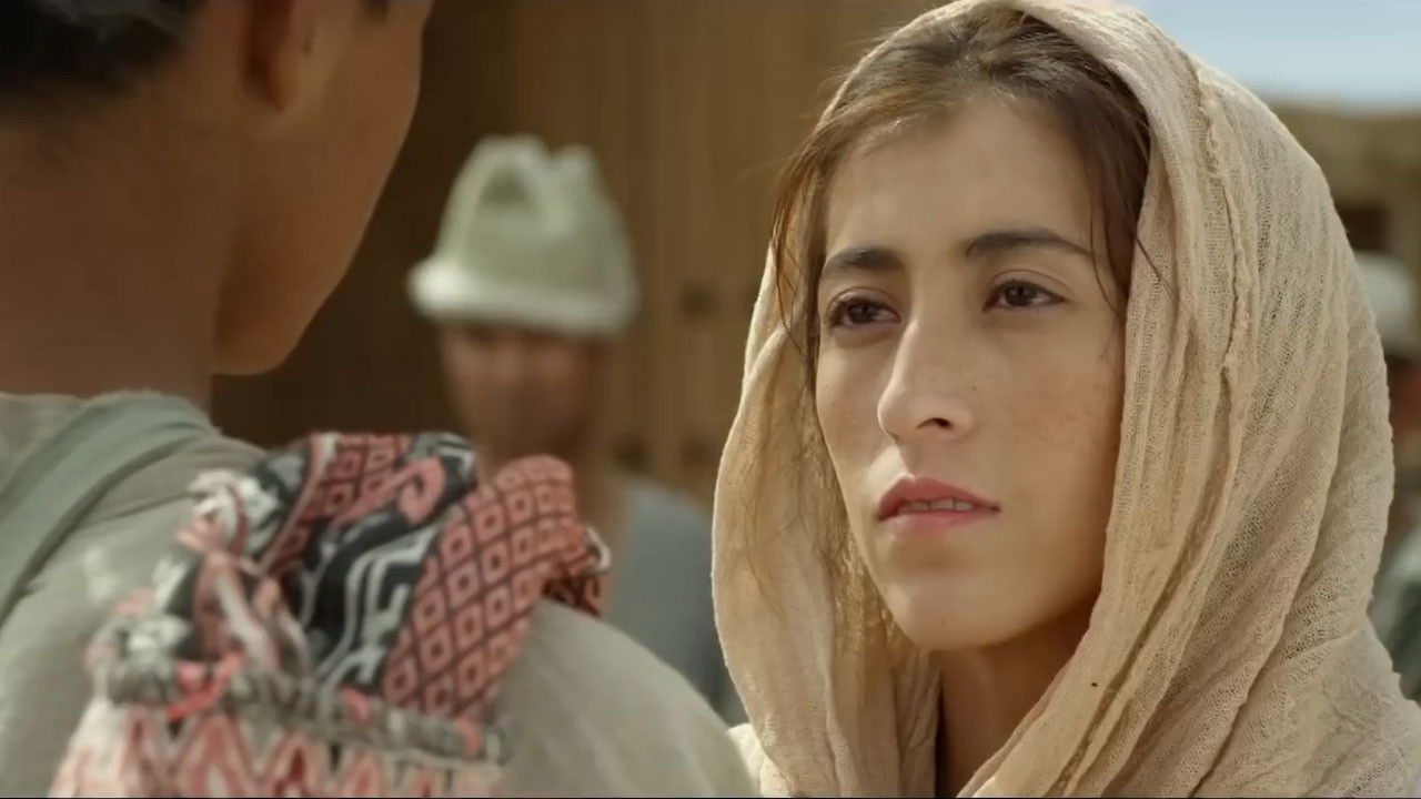 Bloody Border backdrop