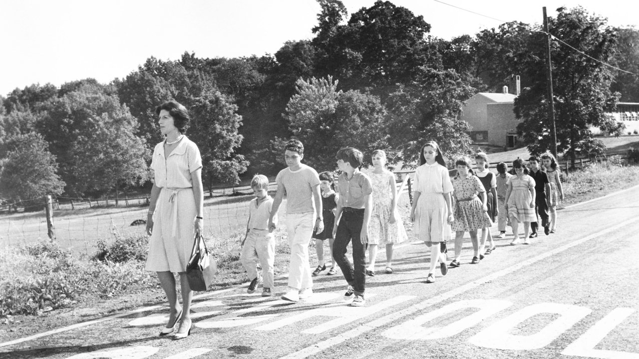 Ladybug Ladybug backdrop