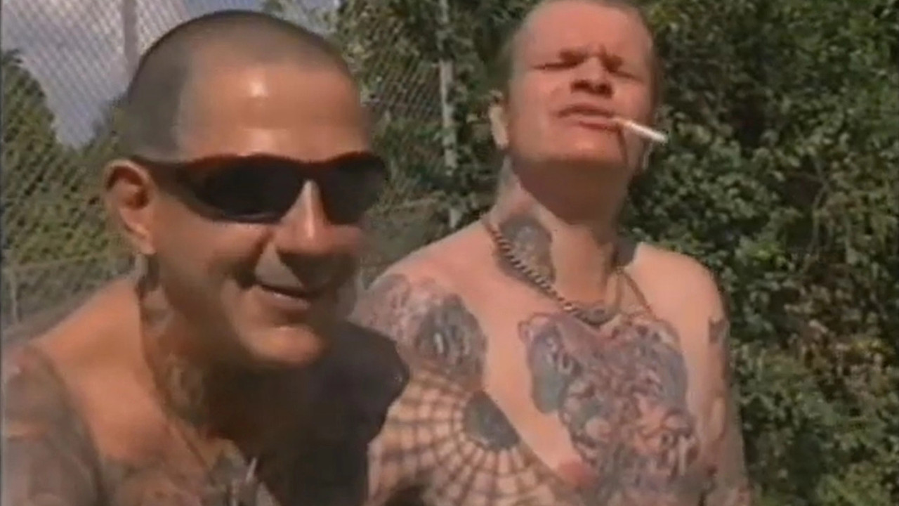 Nie wieder Arbeit - Die APPD, der legale Arm der Chaos-Tage? backdrop