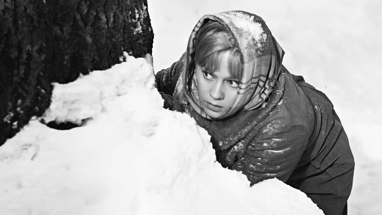 The Russian Forest backdrop