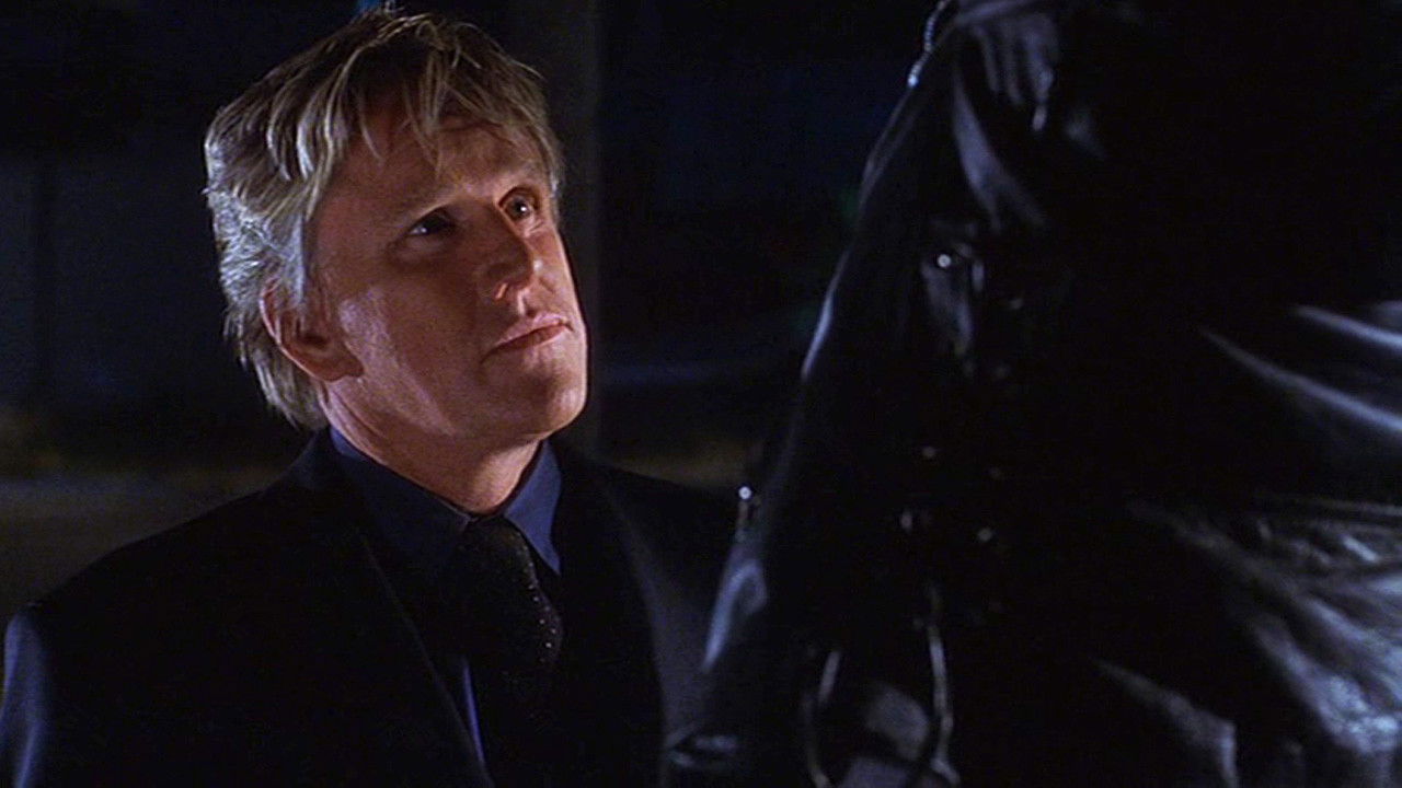 Latin Dragon backdrop