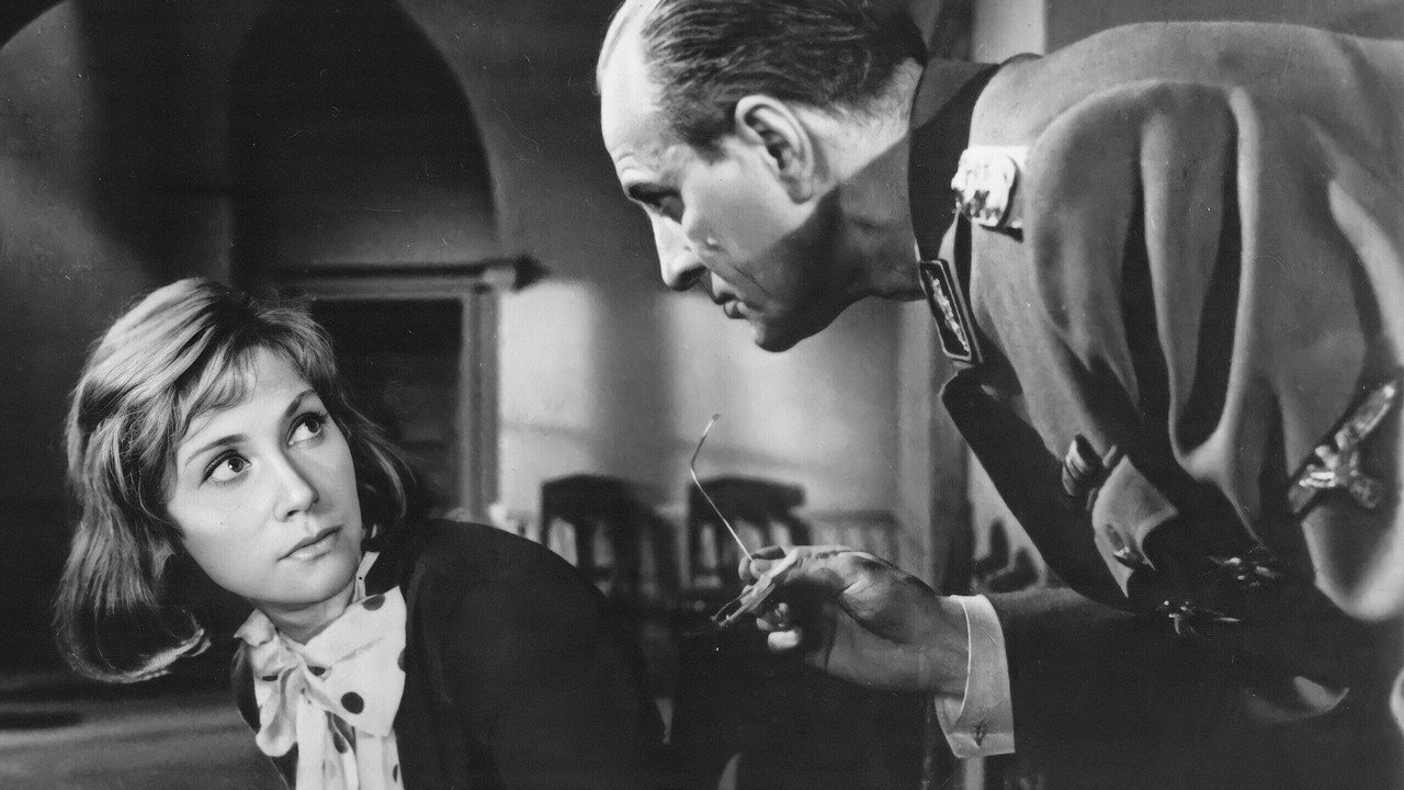 They Were Known Only By Their Faces backdrop