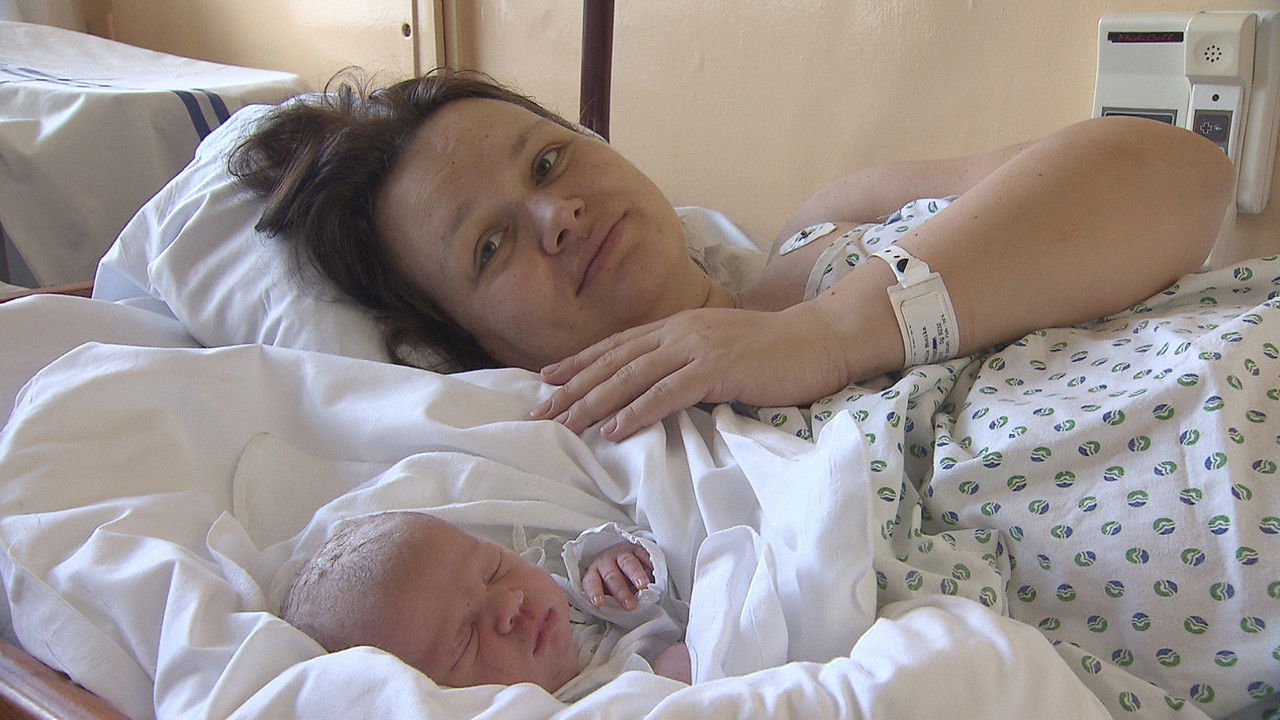 Another Chamce backdrop