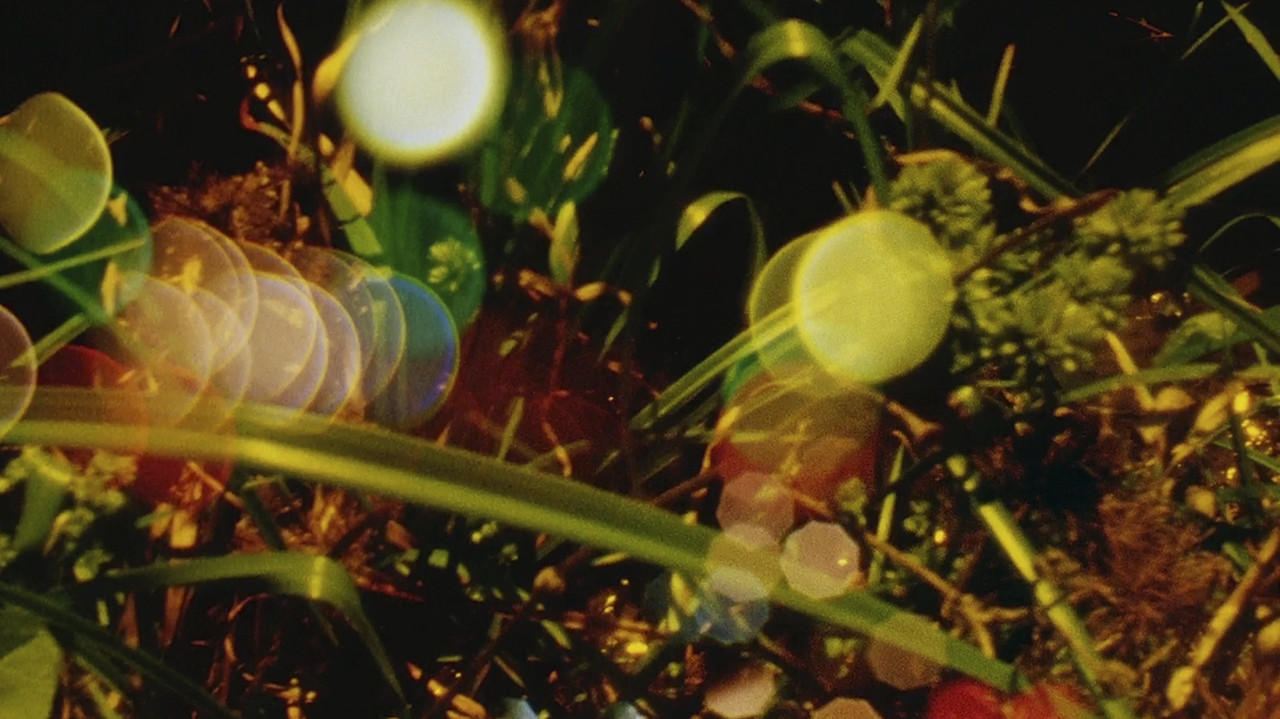 Words of Mercury backdrop