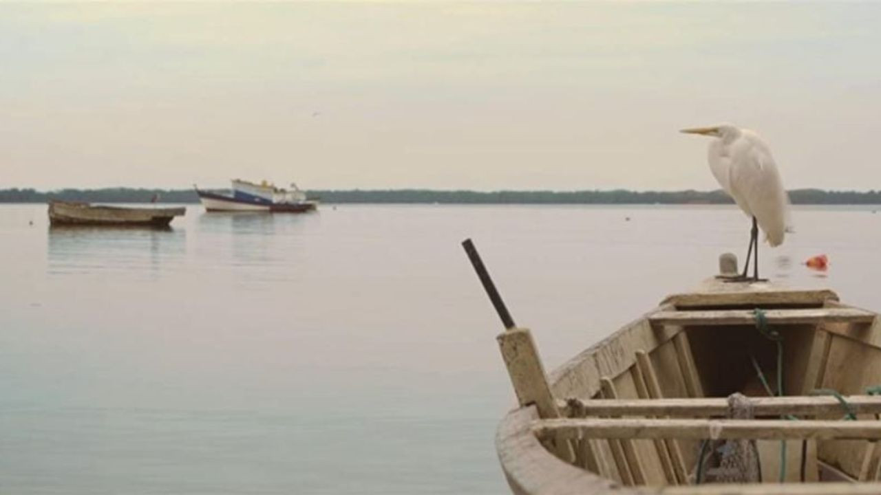 Doidos de Pedra - O Paraíso Esquecido backdrop