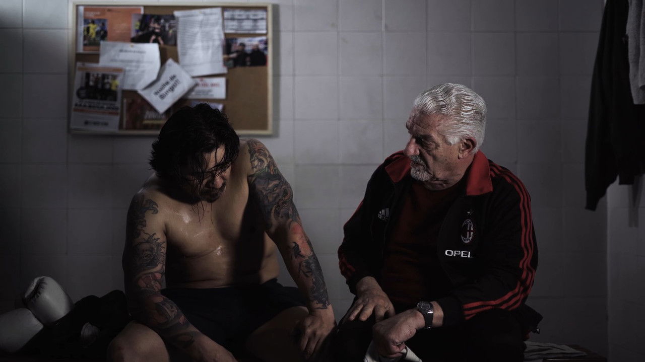 The "Halcon" backdrop