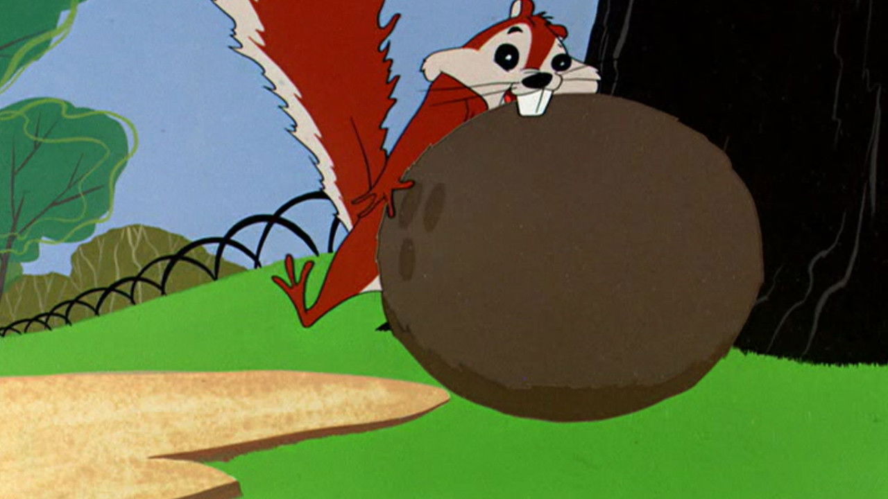 Much Ado About Nutting backdrop