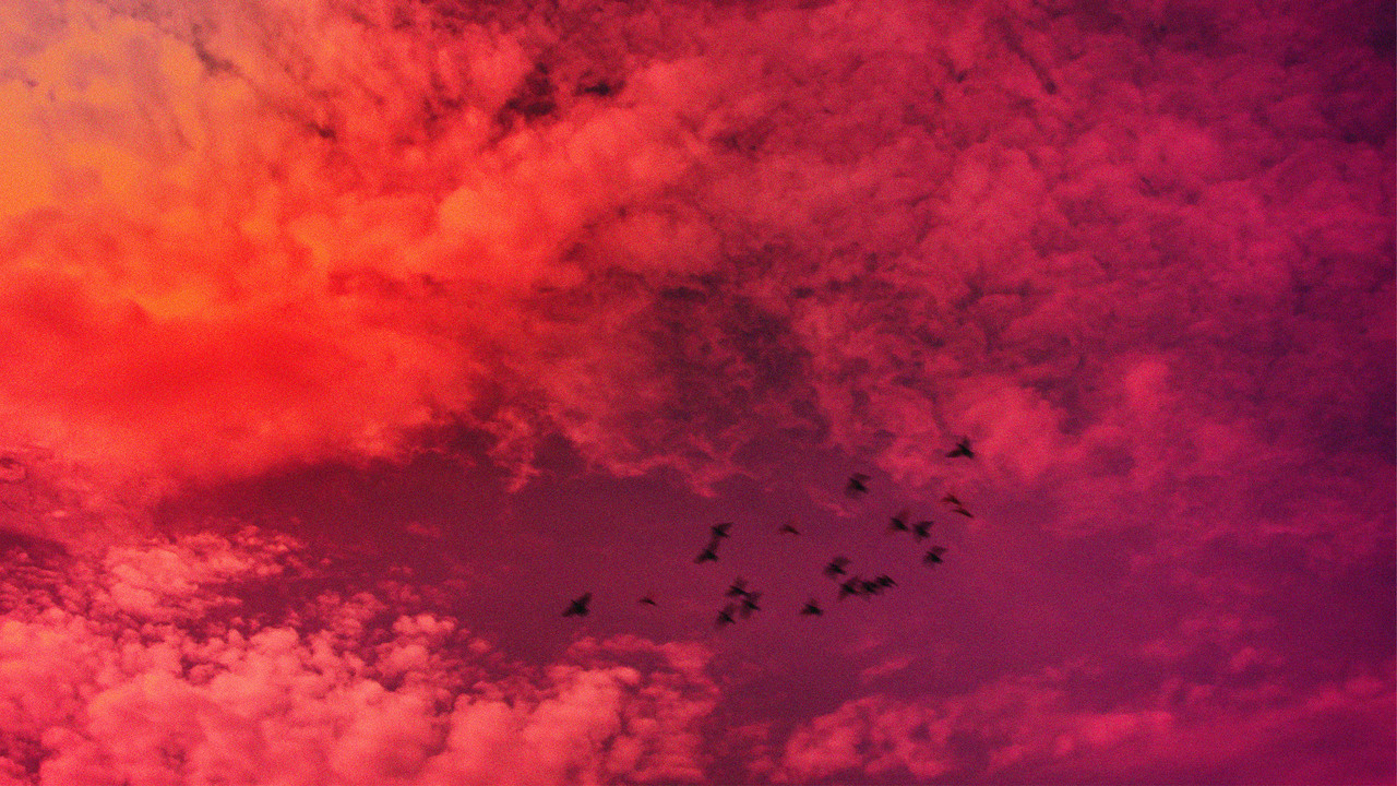Taking my Time to Dance backdrop