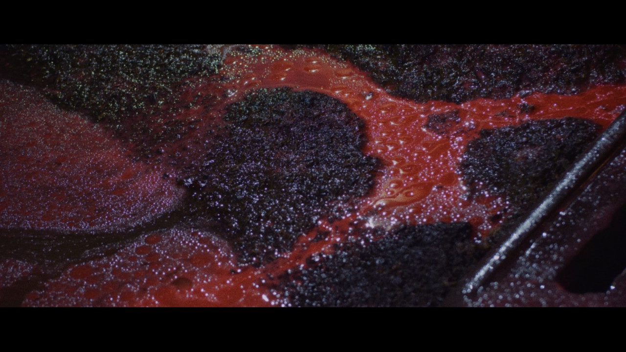 The Five Fingers of a Dog backdrop