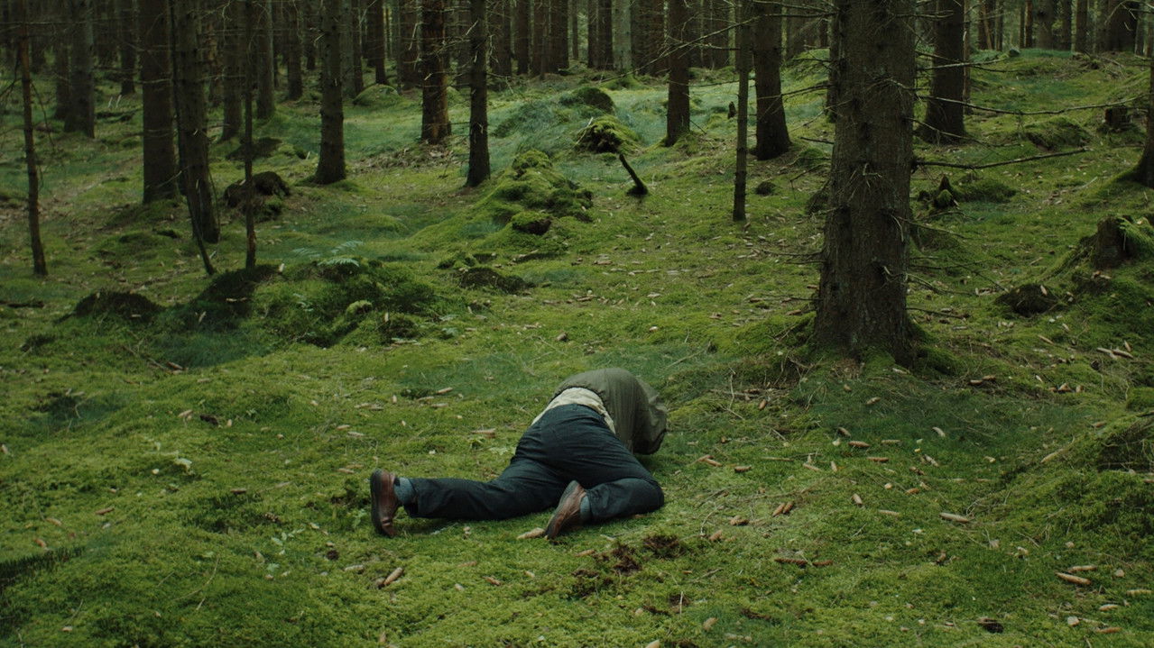 Forest Bathers backdrop