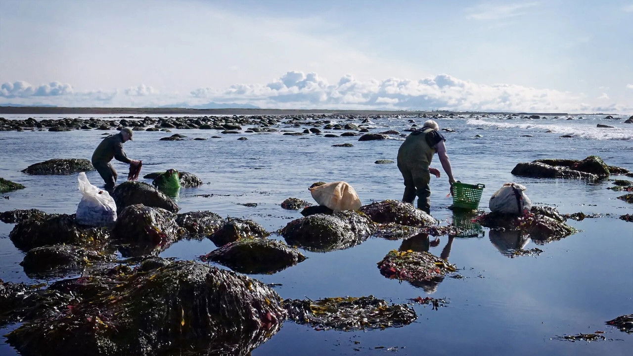 The Bountiful Land - Icelandic Food Tradition and Food History backdrop