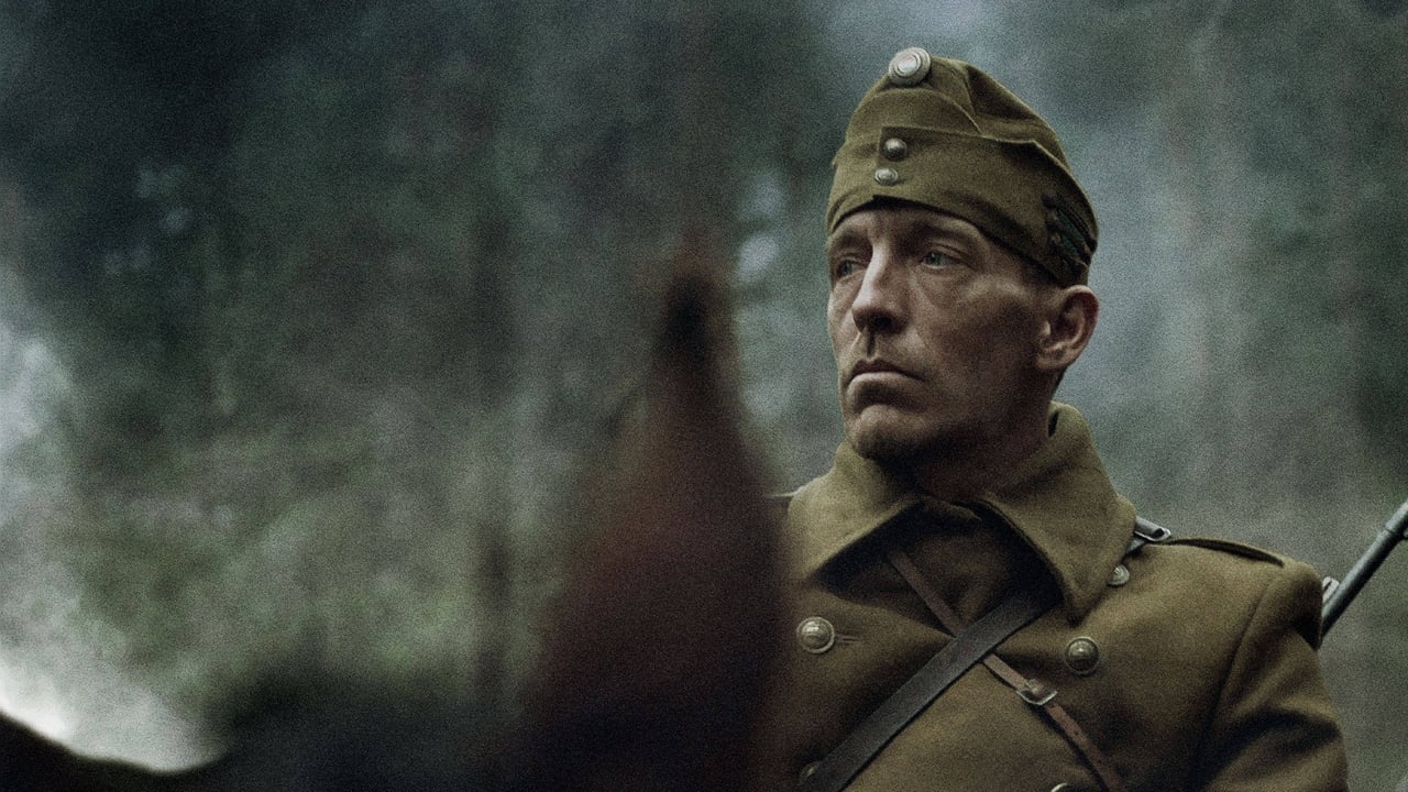 Natural Light backdrop