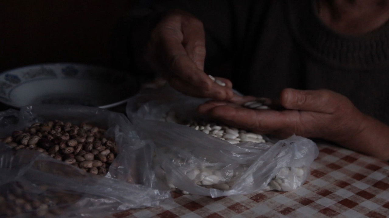 Golden Wedding backdrop