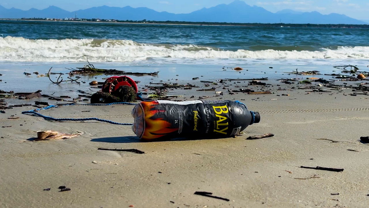 Perder Raízes backdrop