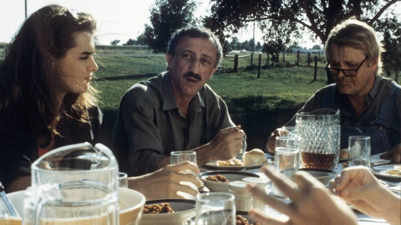 An American Love backdrop