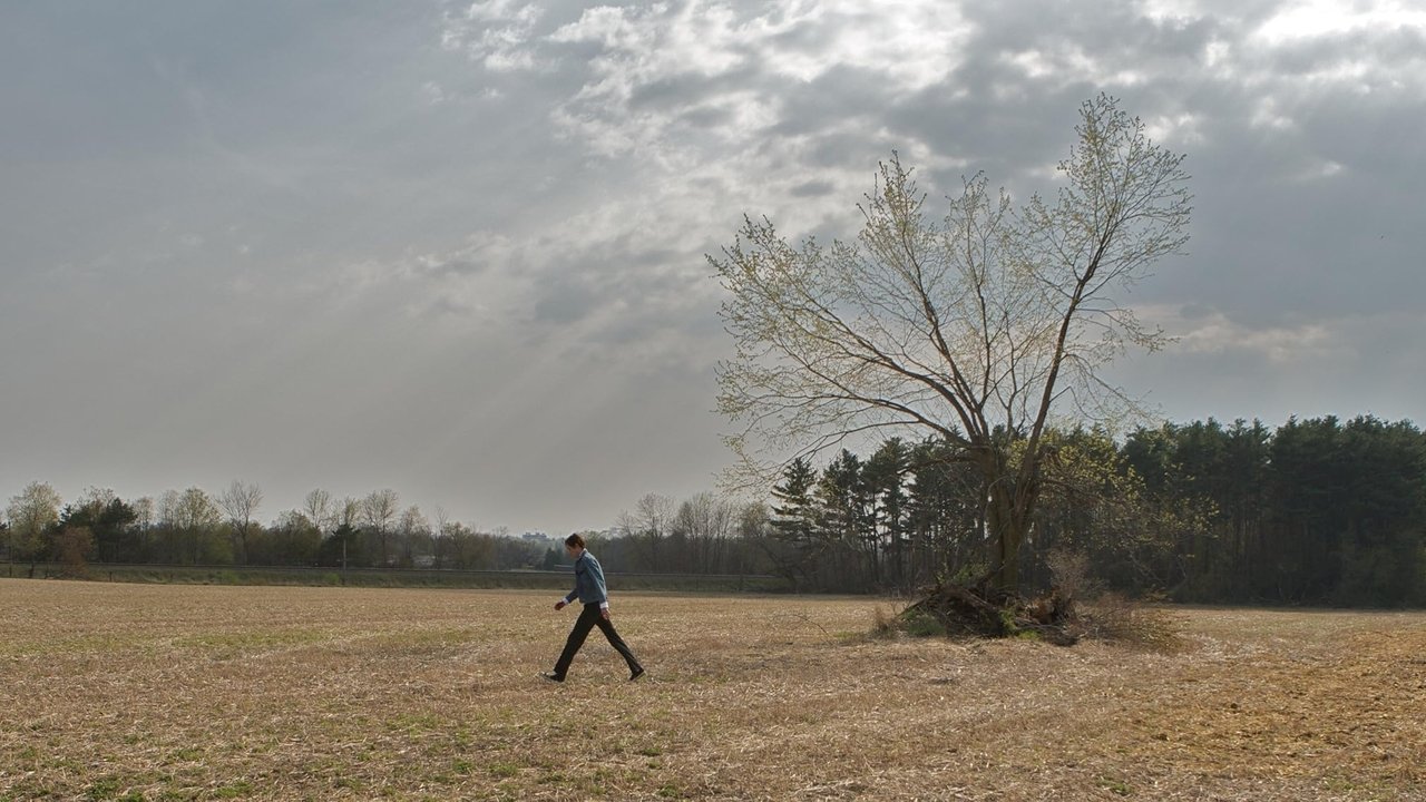 Son of the Sunshine backdrop