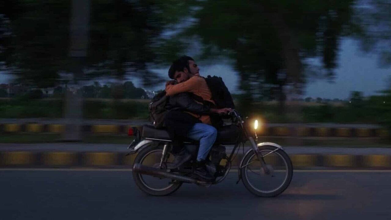 Cats Can Teach You To Die Alone backdrop