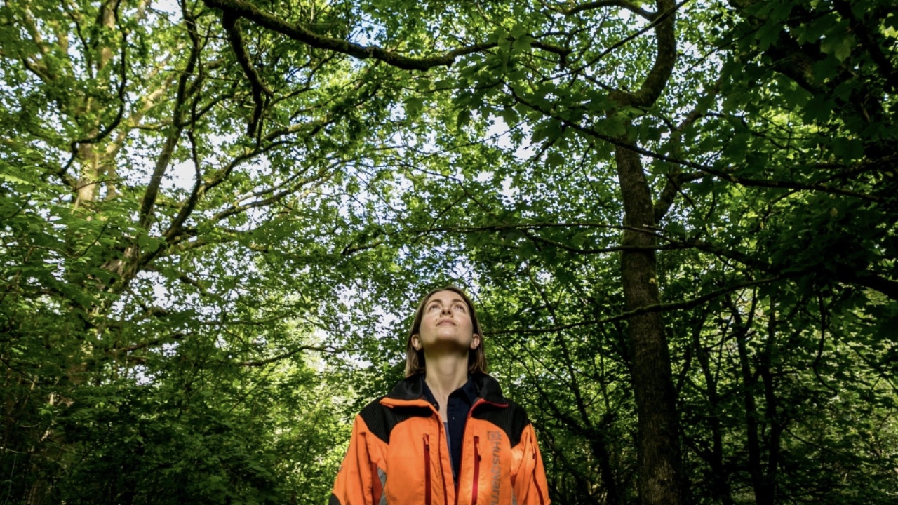 The Arborist backdrop