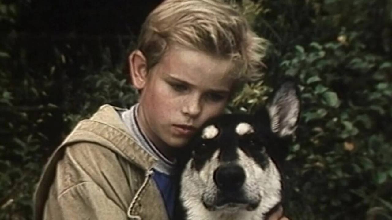 Little Fighter backdrop