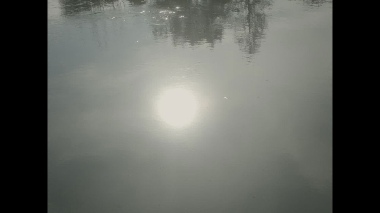 Les fées sont-elles réelles ? backdrop