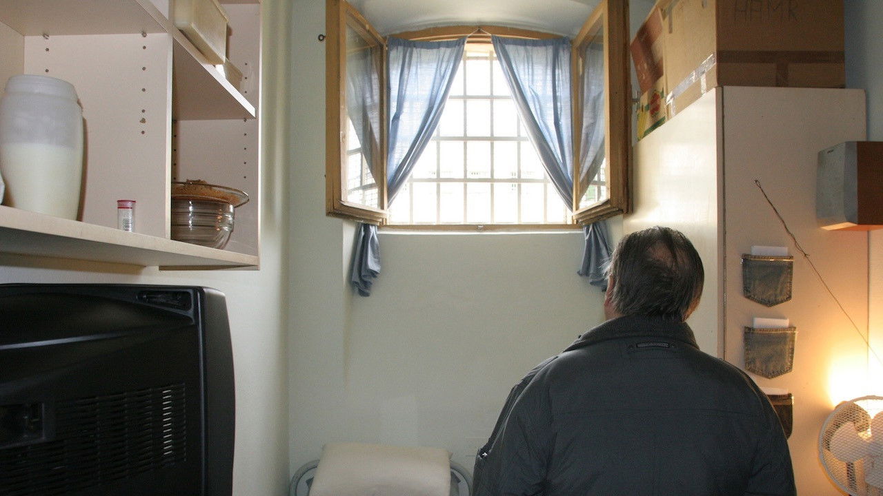 Meine liebe Republik backdrop