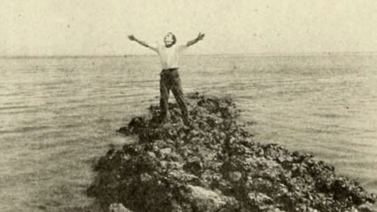 Rejuvenation backdrop