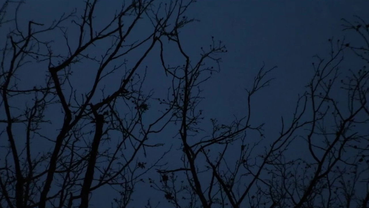 Ode to Big Booty Bitches backdrop