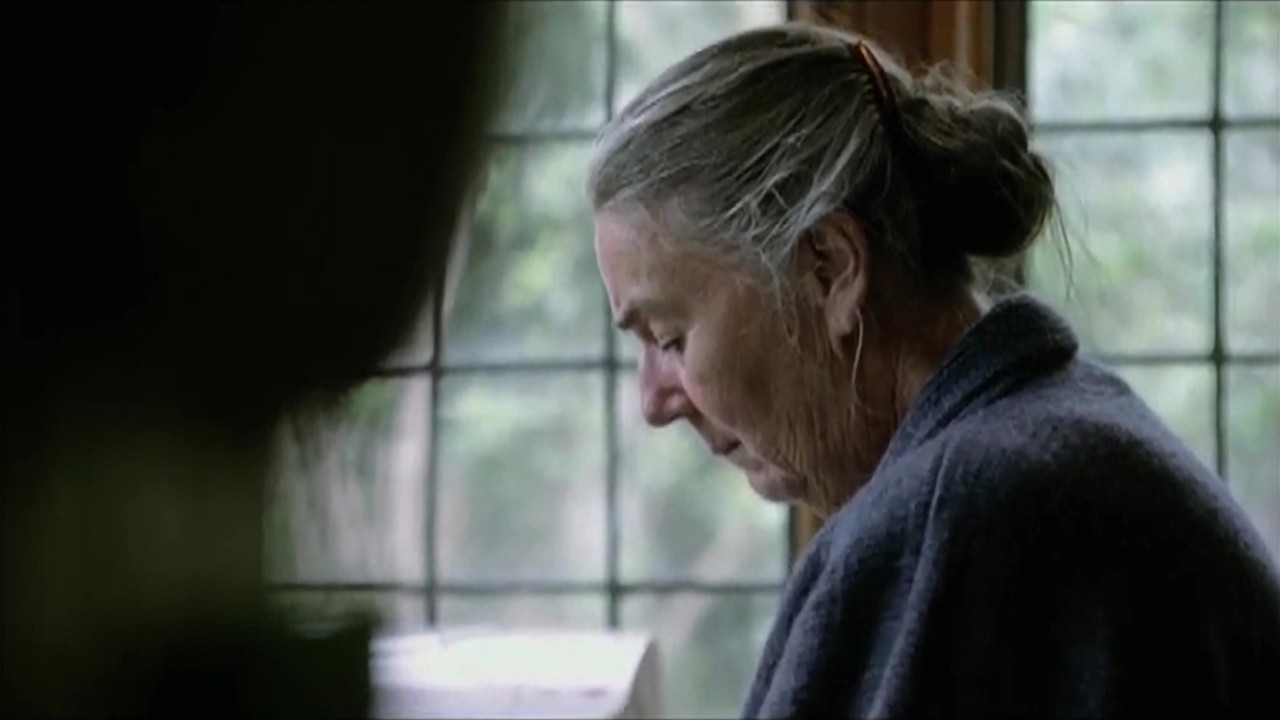 Paul's Dream backdrop