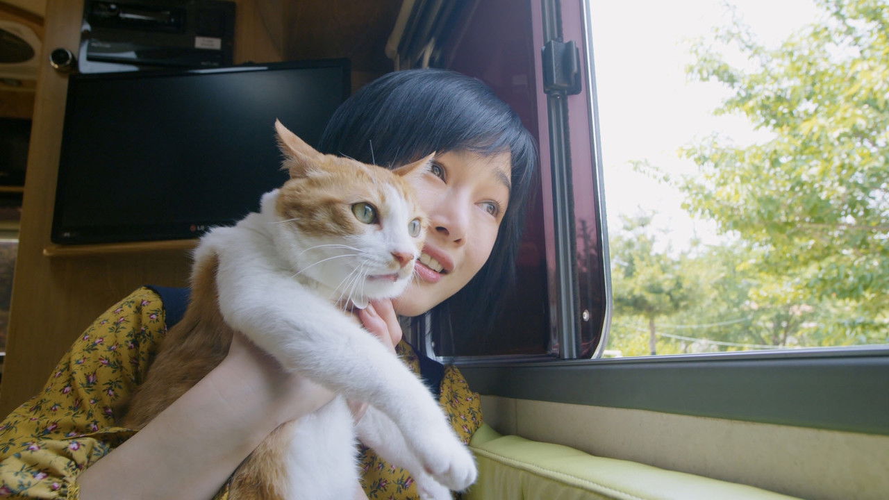 The Journey of the 12 Cats backdrop