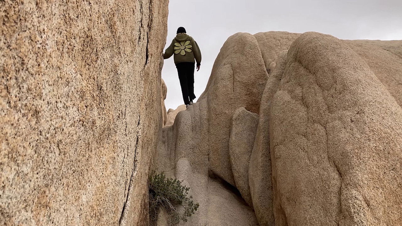 The Parallel Coast backdrop