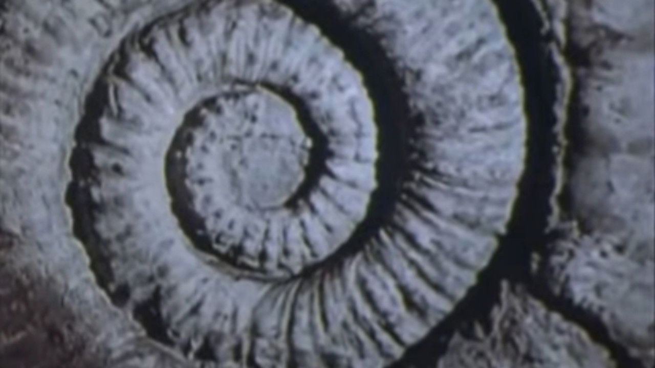 Vernadsky's Law backdrop