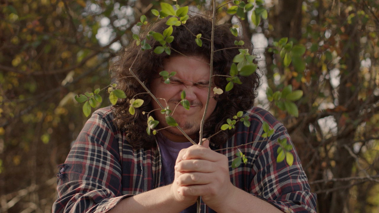 The Money Tree backdrop