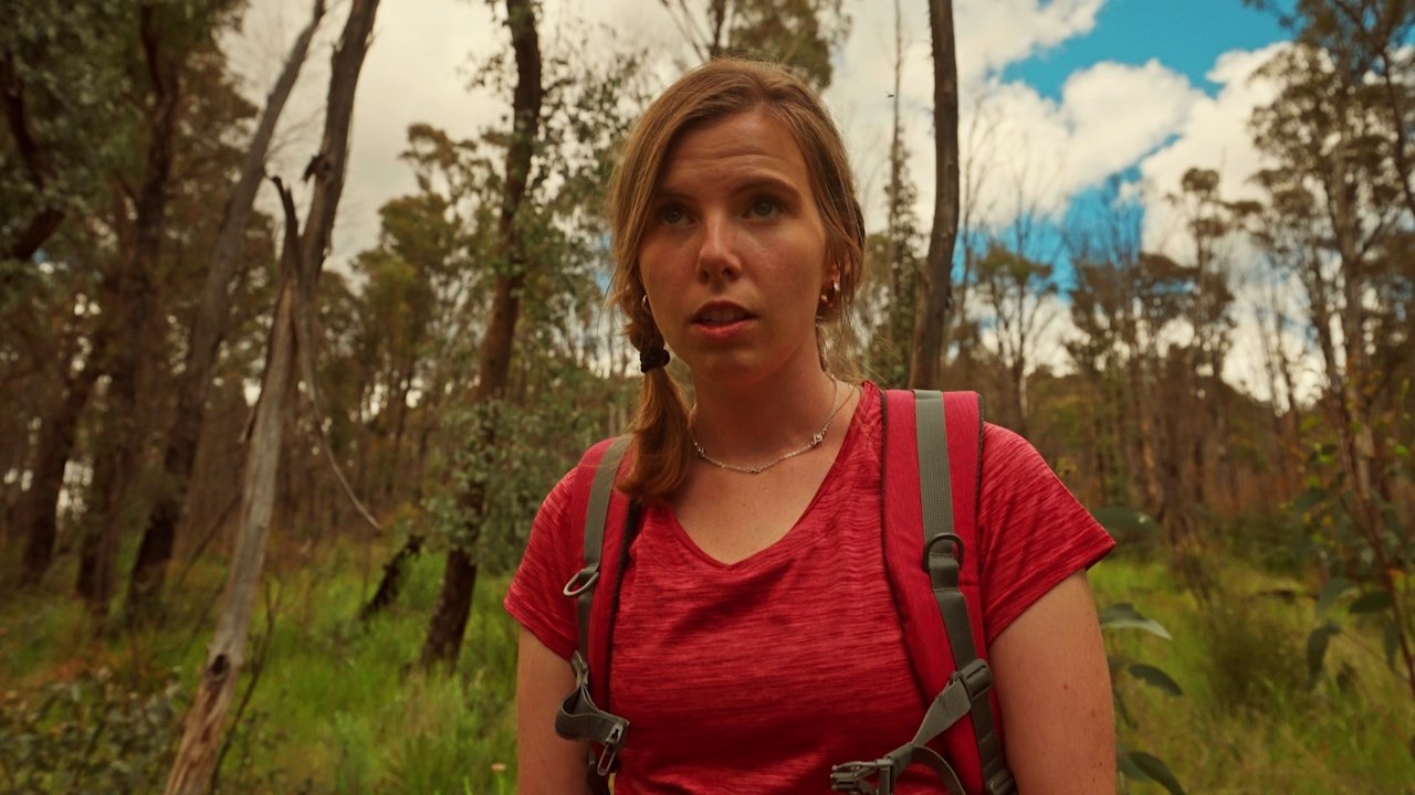 Our Trip to Berribrook backdrop