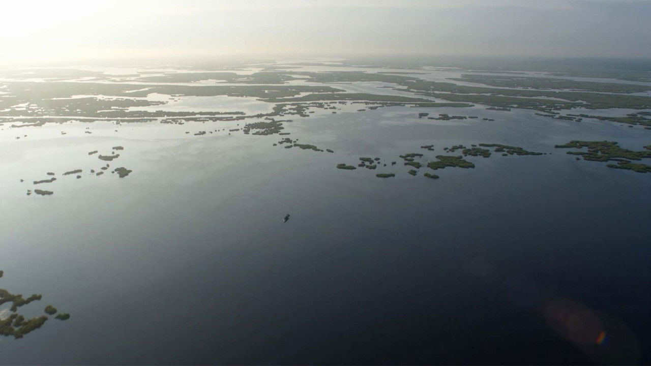 After the Spill backdrop