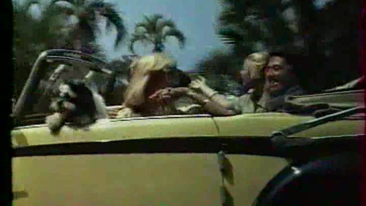 Pilska Julia på bröllopsresa! backdrop