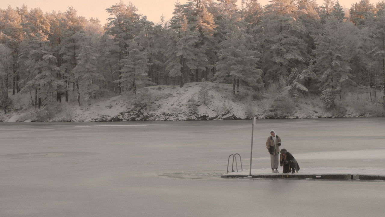Bad Taxidermy backdrop