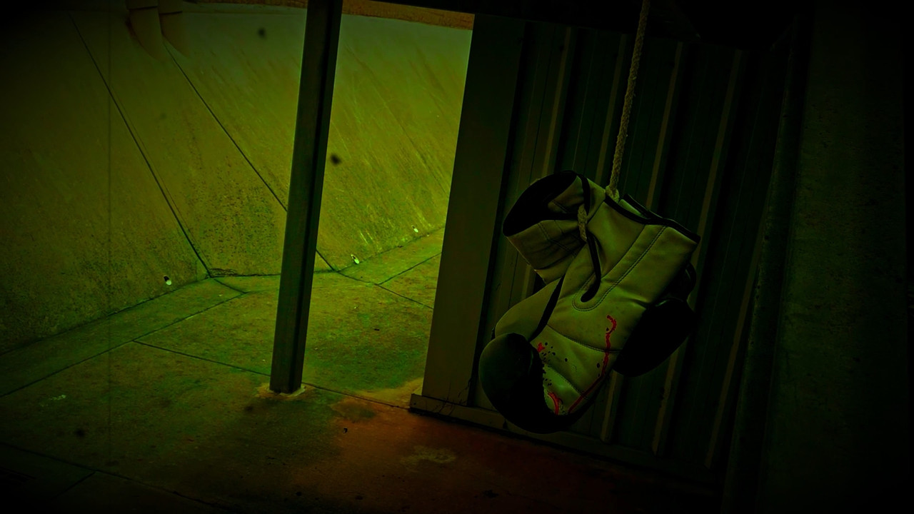 Trapped In Sight backdrop