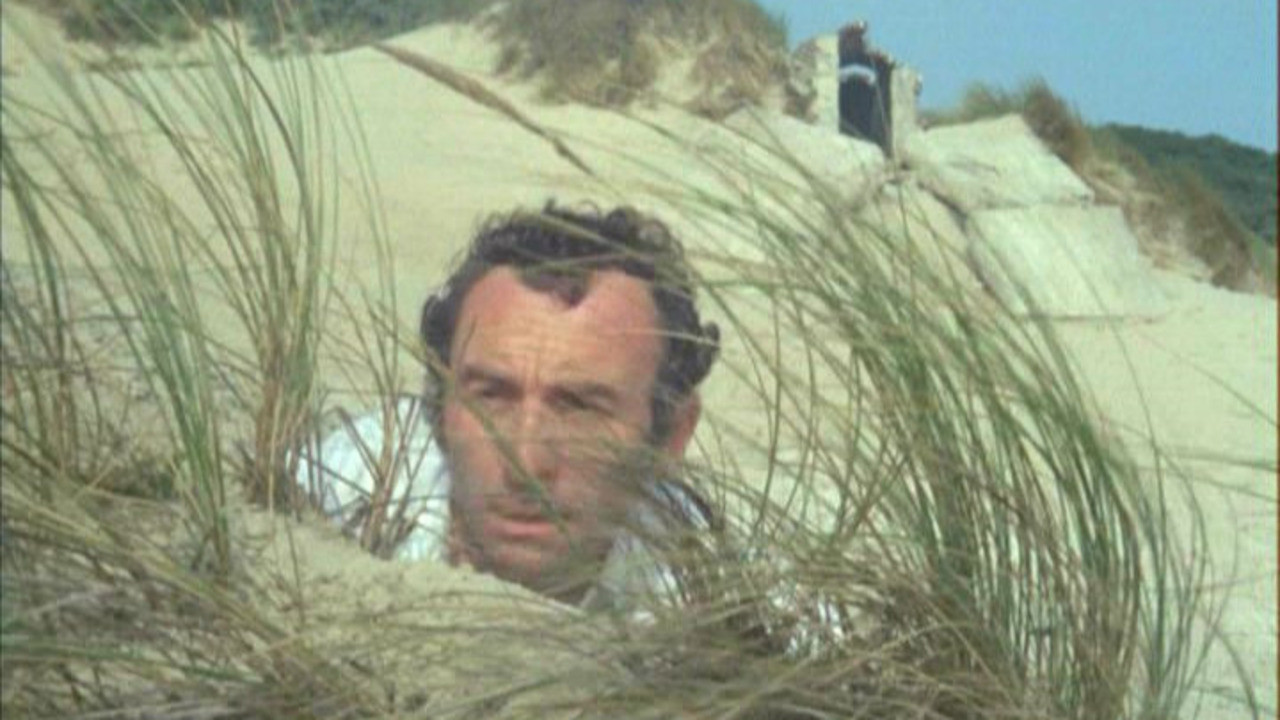 Private Beach backdrop