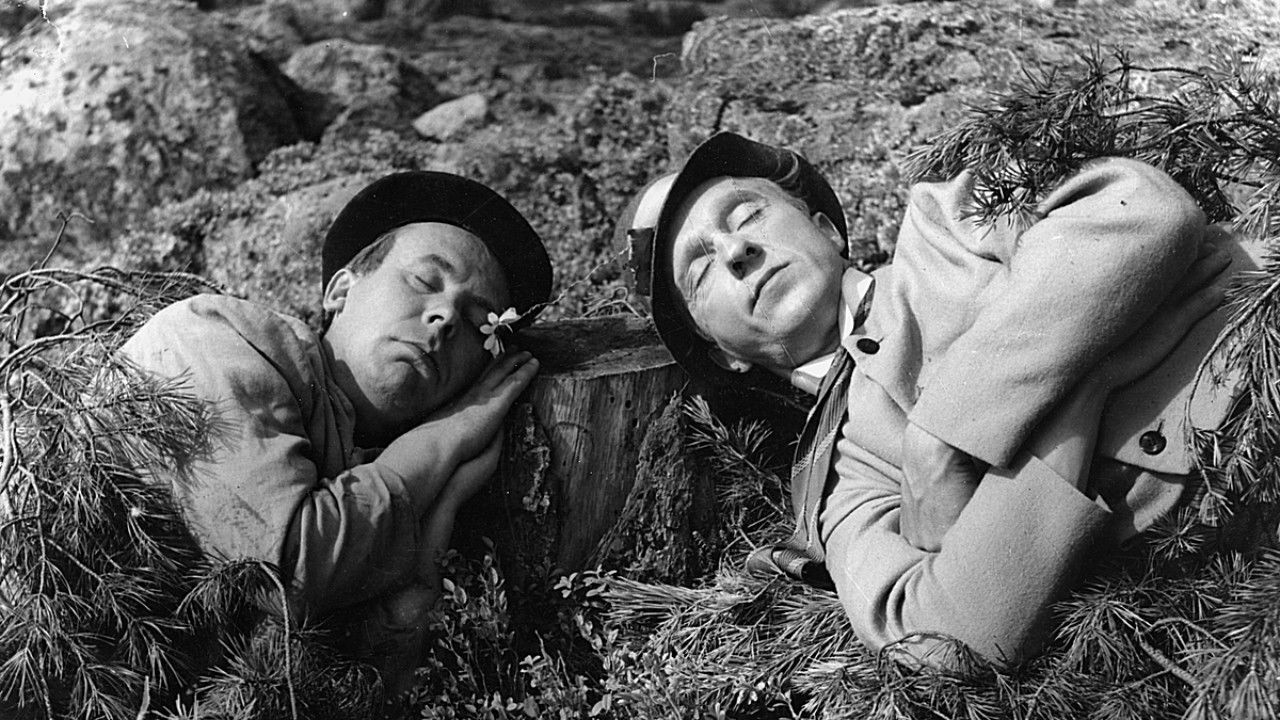 Pekka ja Pätkä salapoliiseina backdrop