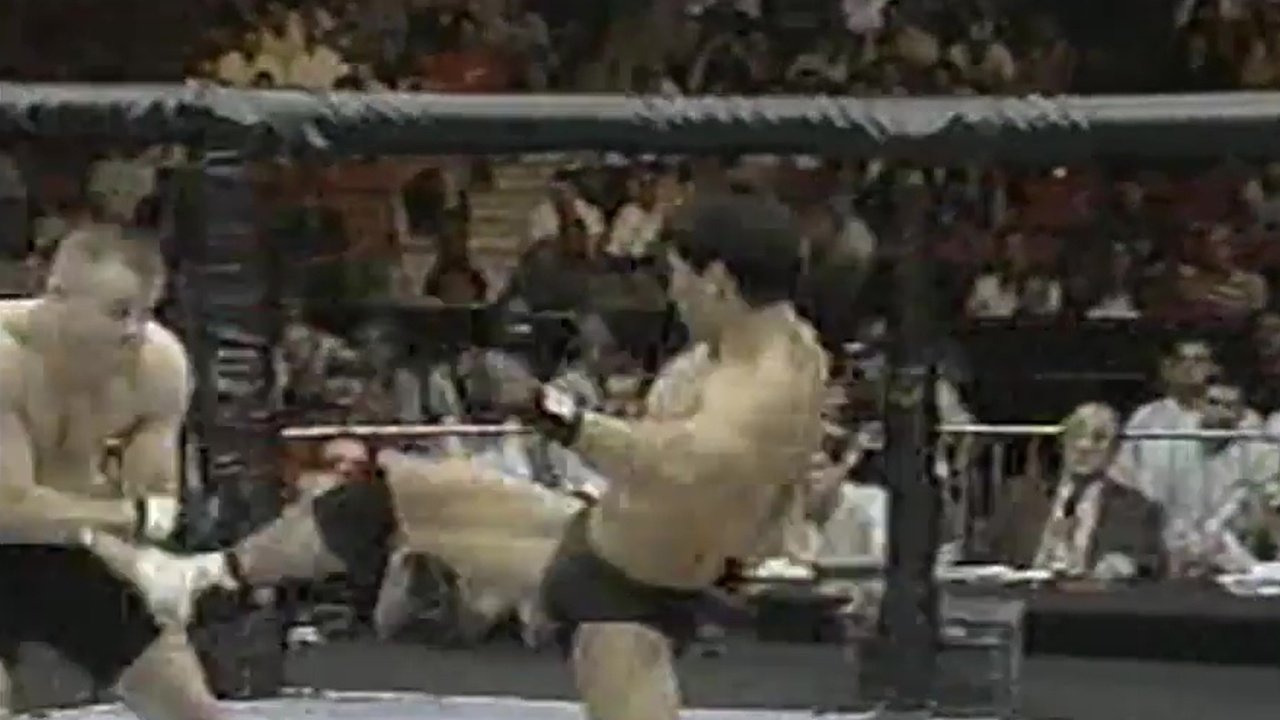 UFC 17: Redemption backdrop