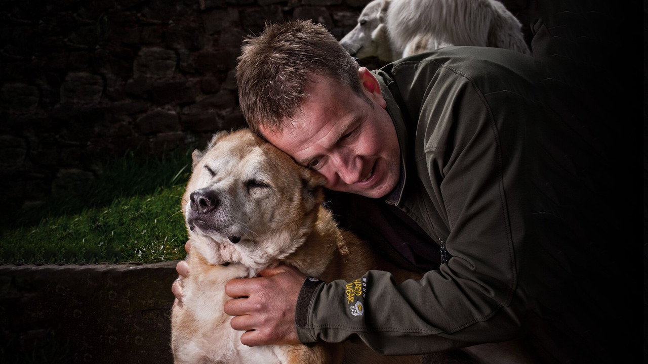 Animal Airlift: Escaping the Taliban backdrop