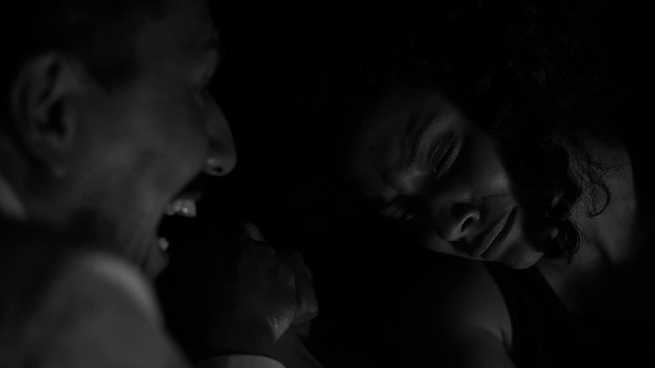 Elogio a las Armas backdrop