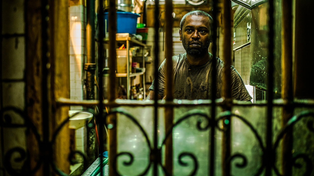 A Yellow Bird backdrop